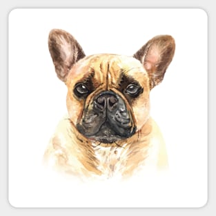 French Bulldog Sticker